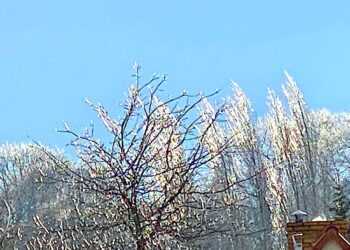 Zerwany kod kulturowy