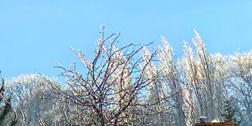 Zerwany kod kulturowy