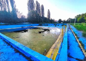 Król bez ziemi jest królem nagim