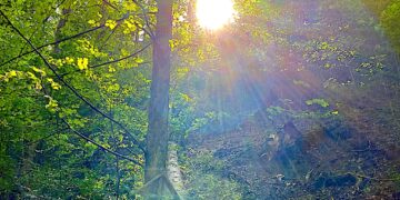 Refleksy świata tego i tamtego