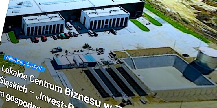 Koń z rzędem