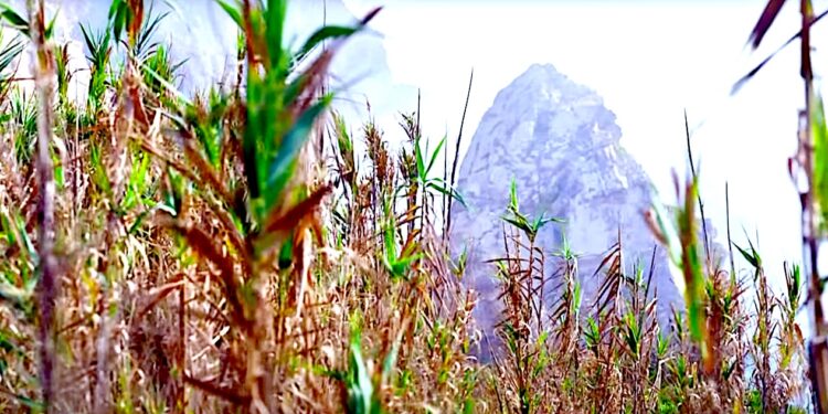 Godność czy uległość