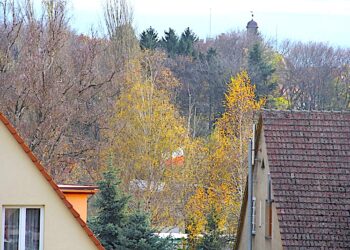 Powyborcze frappé