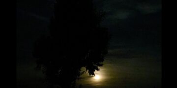 Syndrom braku horyzontu