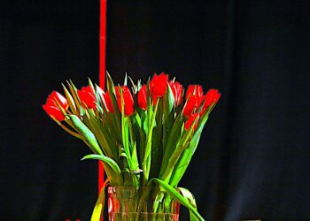 Miłość nie ma jednego imienia