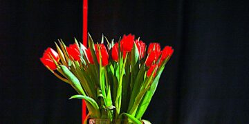 Miłość nie ma jednego imienia