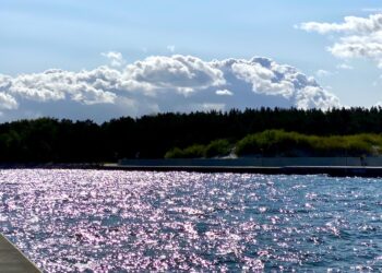 Nanogram wiecznego poranka