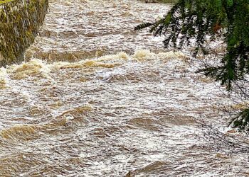 Nie interesujesz się polityką