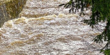 Nie interesujesz się polityką