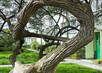 Osoby niegodne zaufania