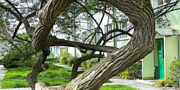 Osoby niegodne zaufania