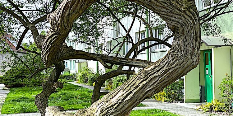 Osoby niegodne zaufania