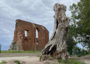 Ofiarą niszczącej fali