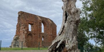 Ofiarą niszczącej fali