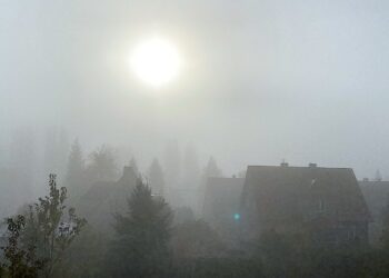 Jesteśmy archipelagiem wysp wolności