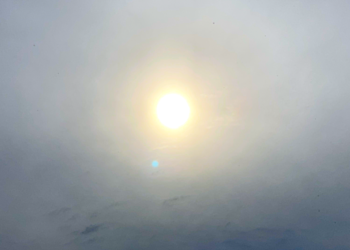 Nie będzie dobrze panie bobrze