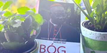 Naszą świadomość opanowało zwątpienie