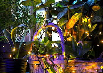 Przedwiośnie zielone jak skrawek