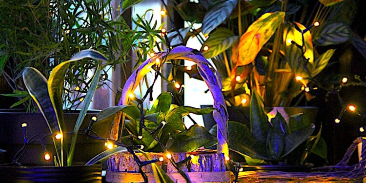 Przedwiośnie zielone jak skrawek