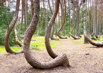 Ile to jest 2 dodać 2 22