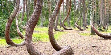 Ile to jest 2 dodać 2 22