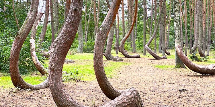 Ile to jest 2 dodać 2 22