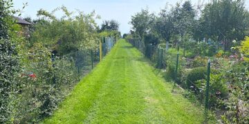 Czerwony dywan czy zielona ścieżka