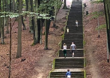 Odyseja umysłu i syrenie pieśni