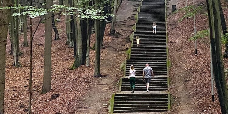 Odyseja umysłu i syrenie pieśni