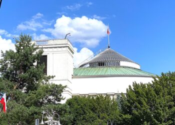 Mądra troska o dobro wspólne albo ring i cyrk