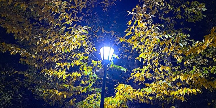 Światło dla wszystkich którzy są w domu