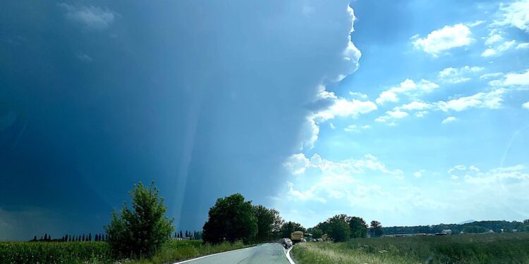 Potrzebujemy jasnej przyszłości