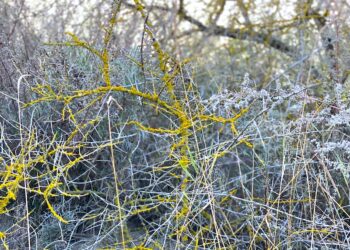 Gotowi walczyć o to kim jesteśmy i w co wierzymy