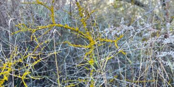 Gotowi walczyć o to kim jesteśmy i w co wierzymy