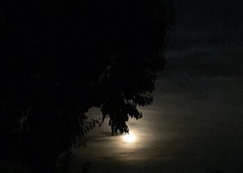 Eutanazja pomoc czy zdrada