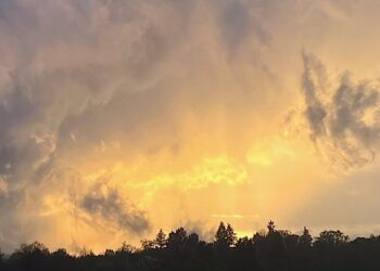 Być w zasięgu ciszy