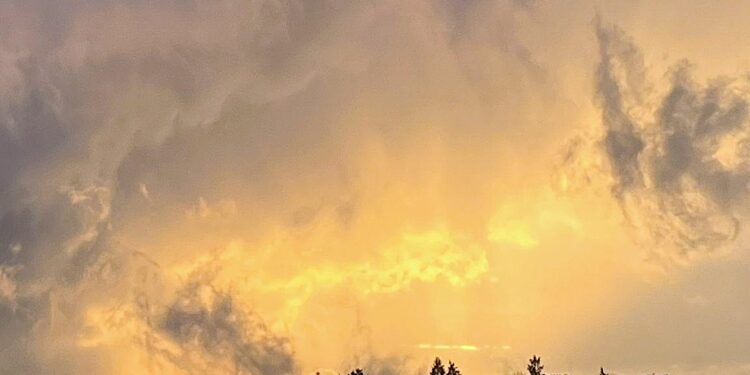 Być w zasięgu ciszy